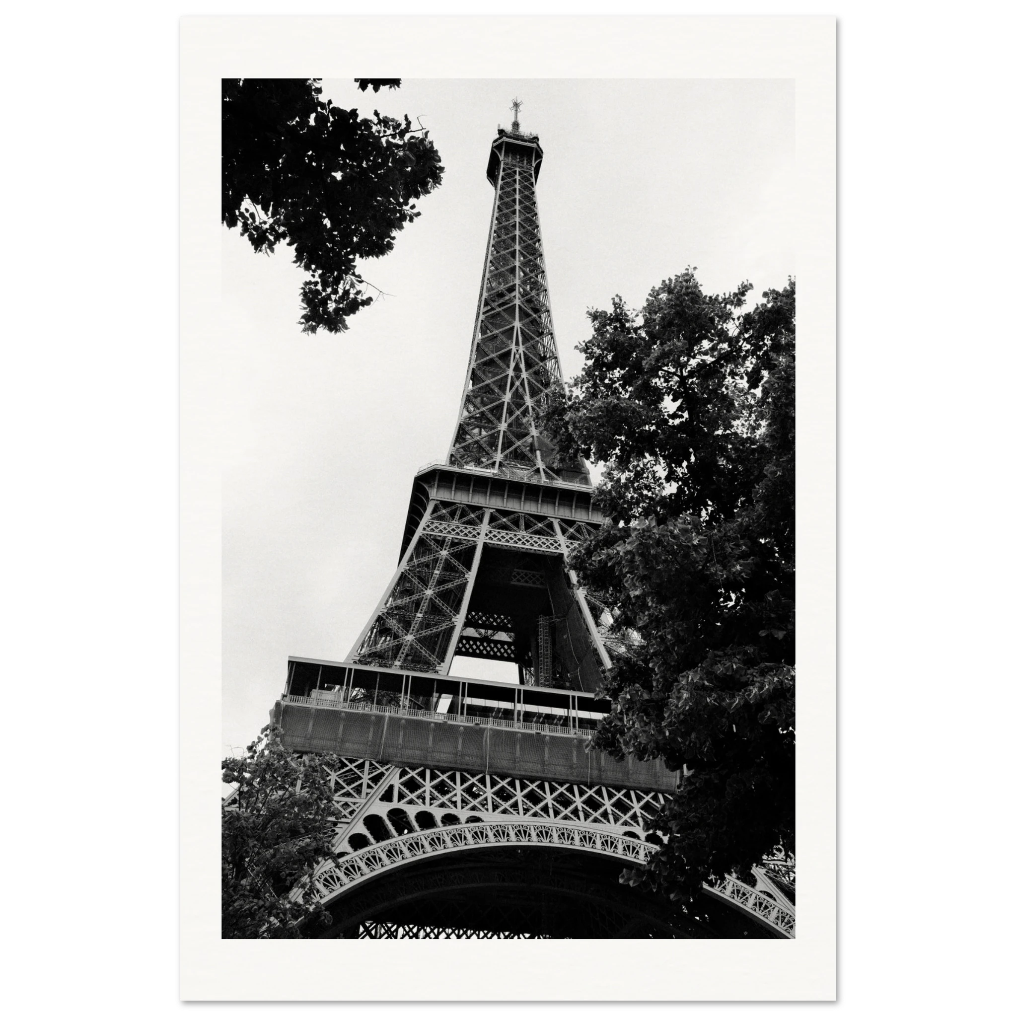 6f1ab05a-83b1-4fd2-b788-ed89512a35fb