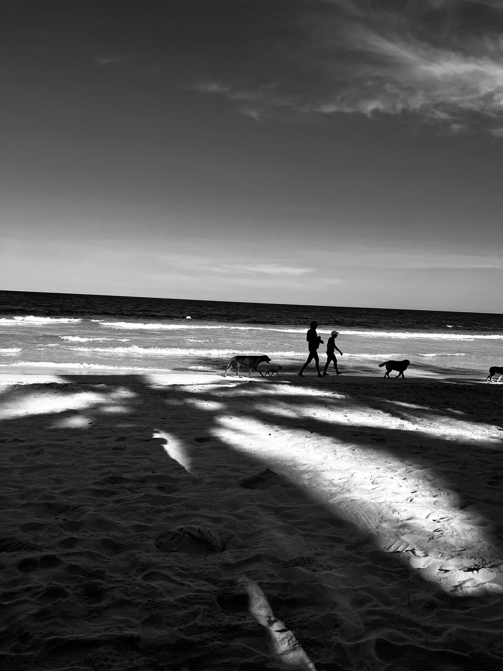Beach Walks